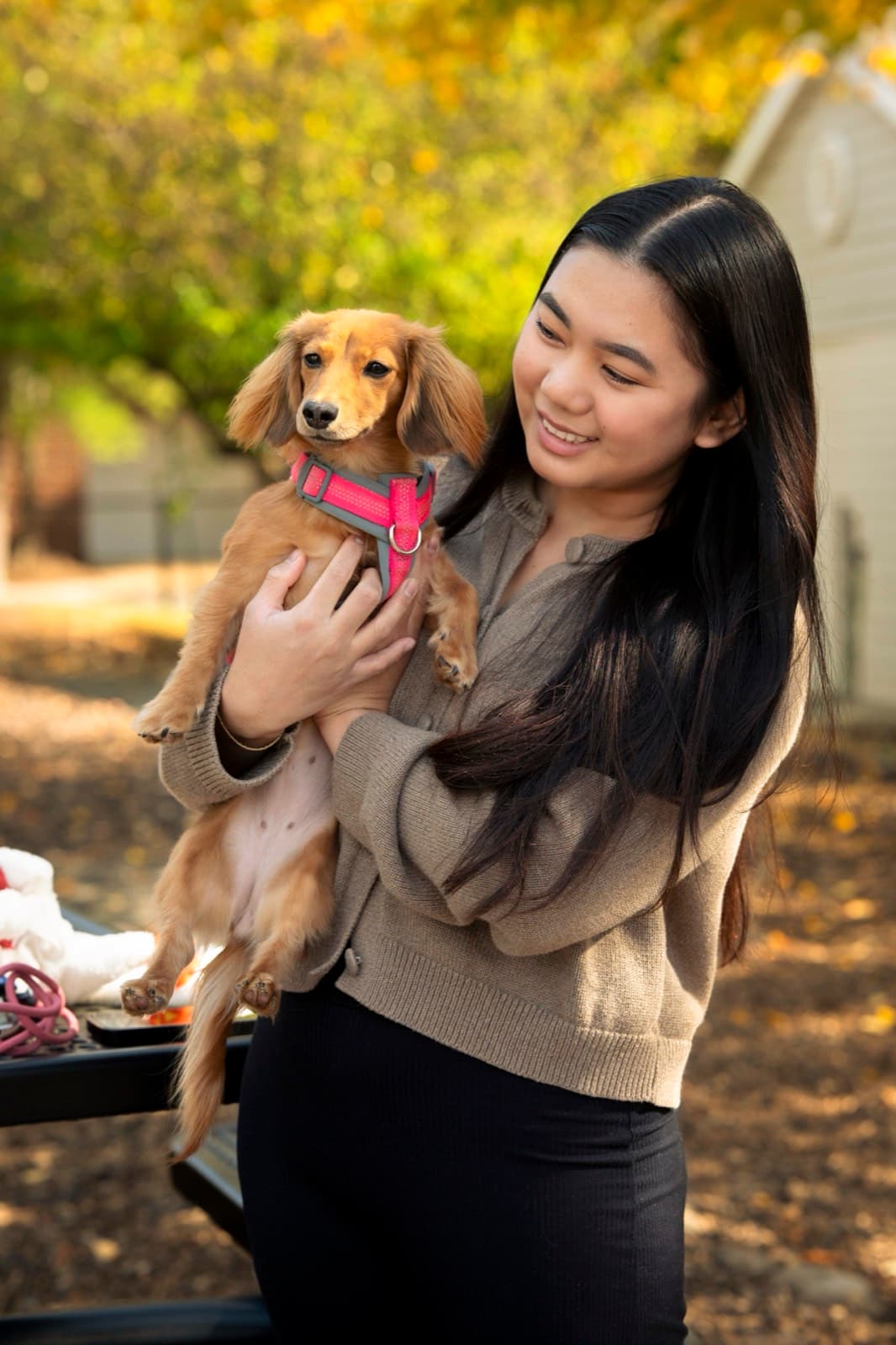 Pets photography by Ashley San